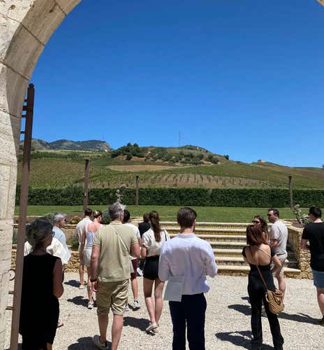Walk in the vineyards, wine tasting and Sicilian products in the province of Trapani