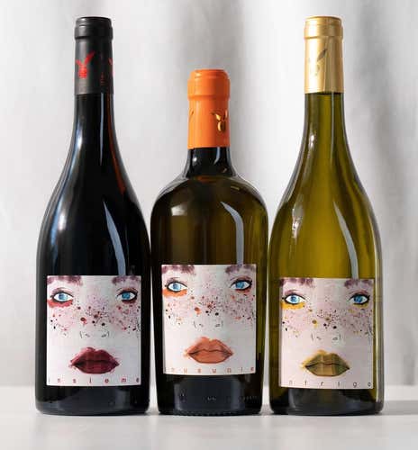 Degustazione di 3 vini biologici a San Miniato