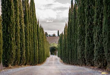 Cellar tour with wine tasting and gourmet tastings in Montalcino