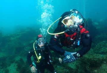 Scuba Diving Experience nel Golfo di Catania