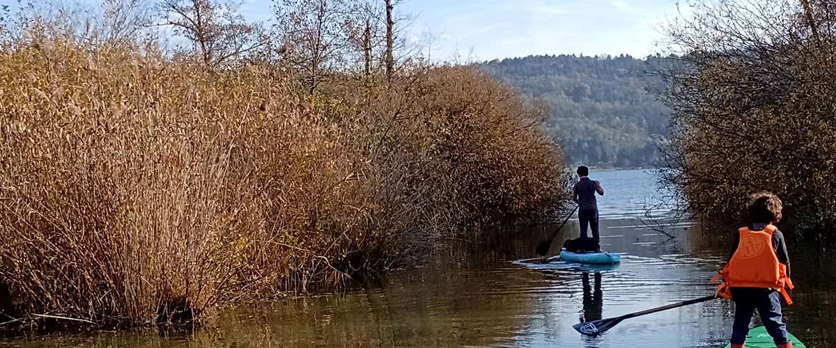 SUP excursion in the Ticino Park