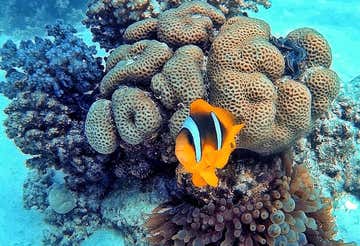 Scuba Diving Experience a Porto Cesareo