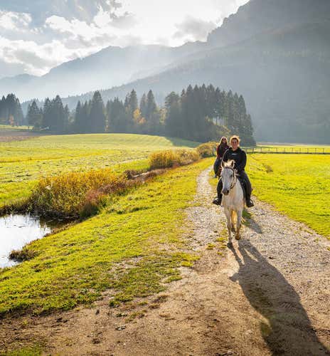 Passeggiata a cavallo di 1 ora nelle Giudicarie in Trentino
