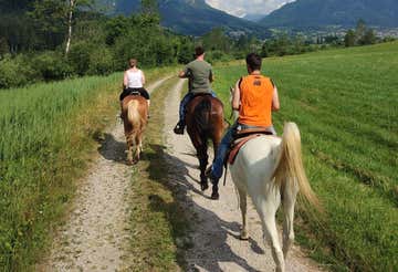 Passeggiata a cavallo di 1 ora nelle Giudicarie in Trentino
