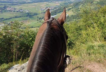 Passeggiata a cavallo di 1 ora nelle Giudicarie in Trentino