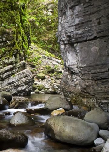 5-hour quad tour to the Botri Gorge