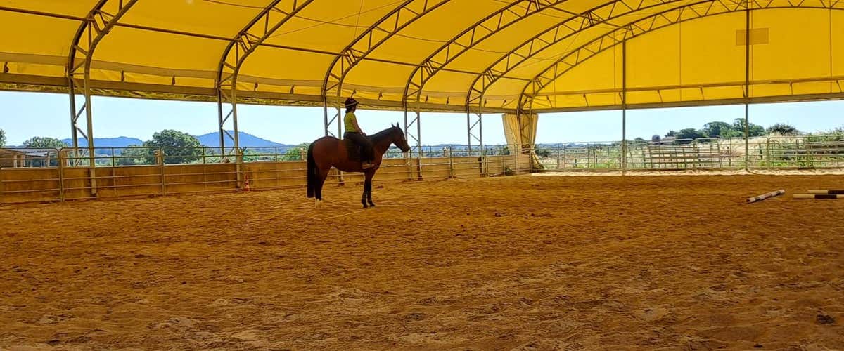 One-hour riding lesson in Bracciano