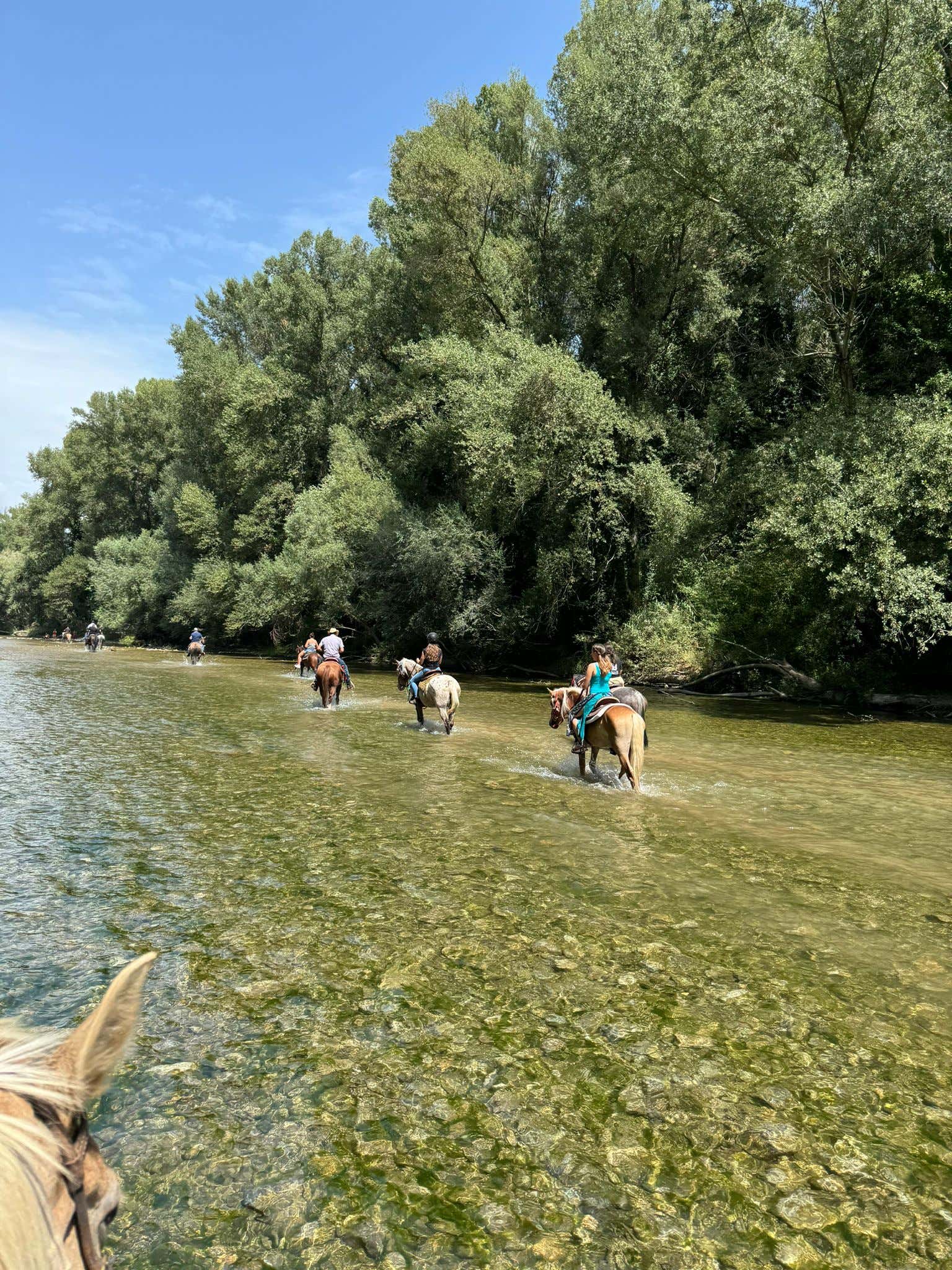 Passeggiata a cavallo nell’Oasi di Persano