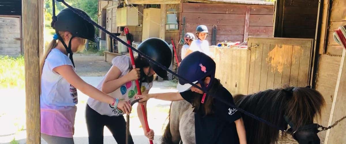 Riding lesson in the province of Pisa