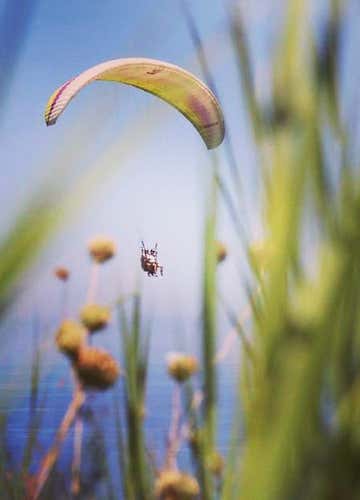 Tandem paragliding flight in Taormina and the Messina province
