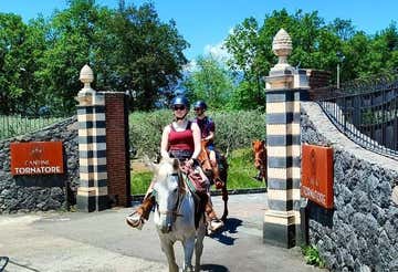 Passeggiata a cavallo nella Valle dell’Alcantara con degustazione