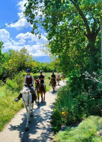 Passeggiata a cavallo nella Valle dell’Alcantara con degustazione