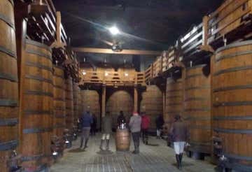 Passeggiata a cavallo nella Valle dell’Alcantara con degustazione