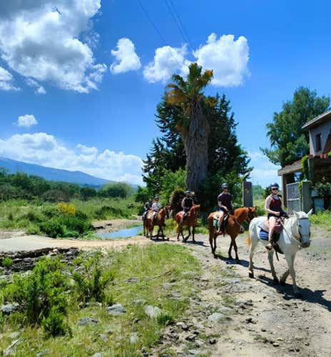 Passeggiata a cavallo nella Valle dell’Alcantara con degustazione