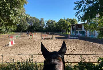 1-hour horseback ride in the nature of Fara Gera d'Adda