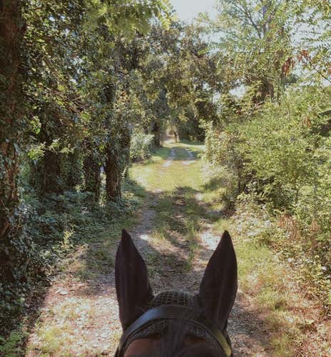 1-hour horseback ride in the nature of Fara Gera d'Adda
