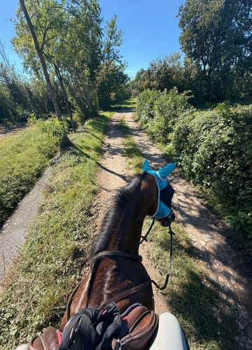 1-hour horseback ride in the nature of Fara Gera d'Adda