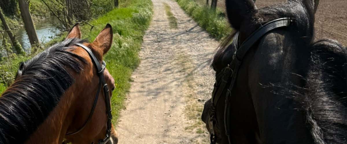 1-hour horseback ride in the nature of Fara Gera d'Adda