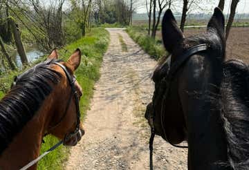 1-hour horseback ride in the nature of Fara Gera d'Adda