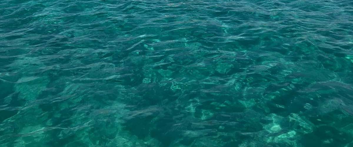 Corso base di windsurf di 4 giorni in Salento