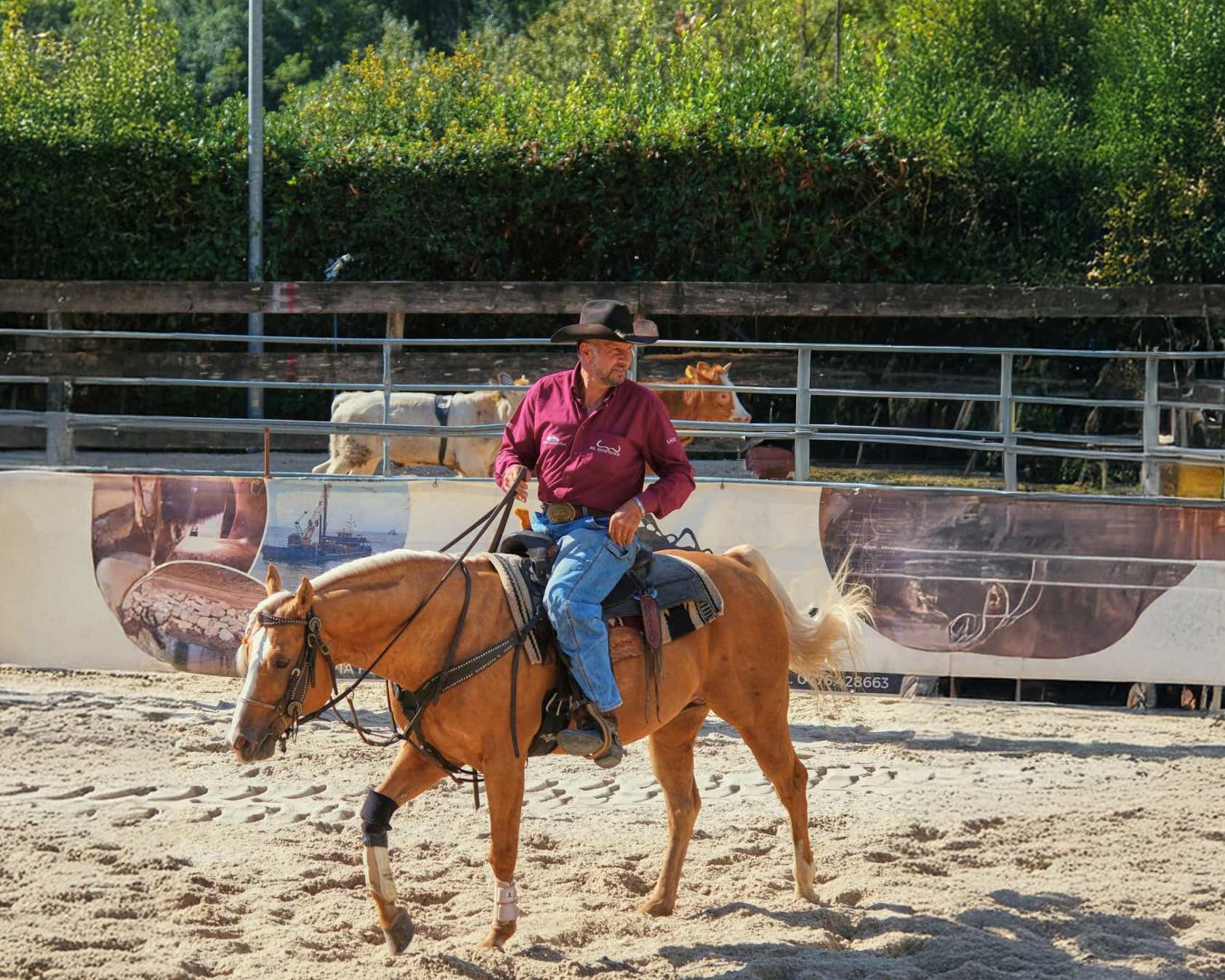 Soggiorno in bungalow e passeggiata a cavallo a Belmonte Castello con pranzo o cena