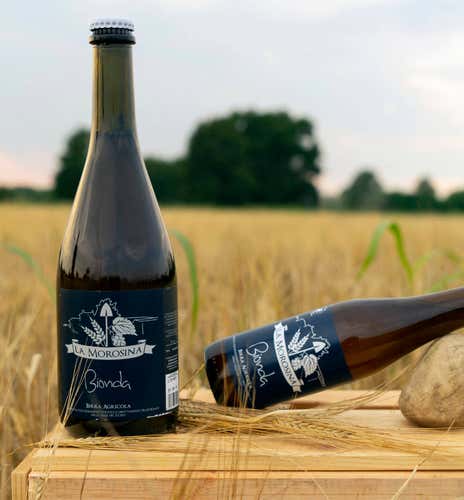 Beer tasting with farmhouse visit in the province of Milan