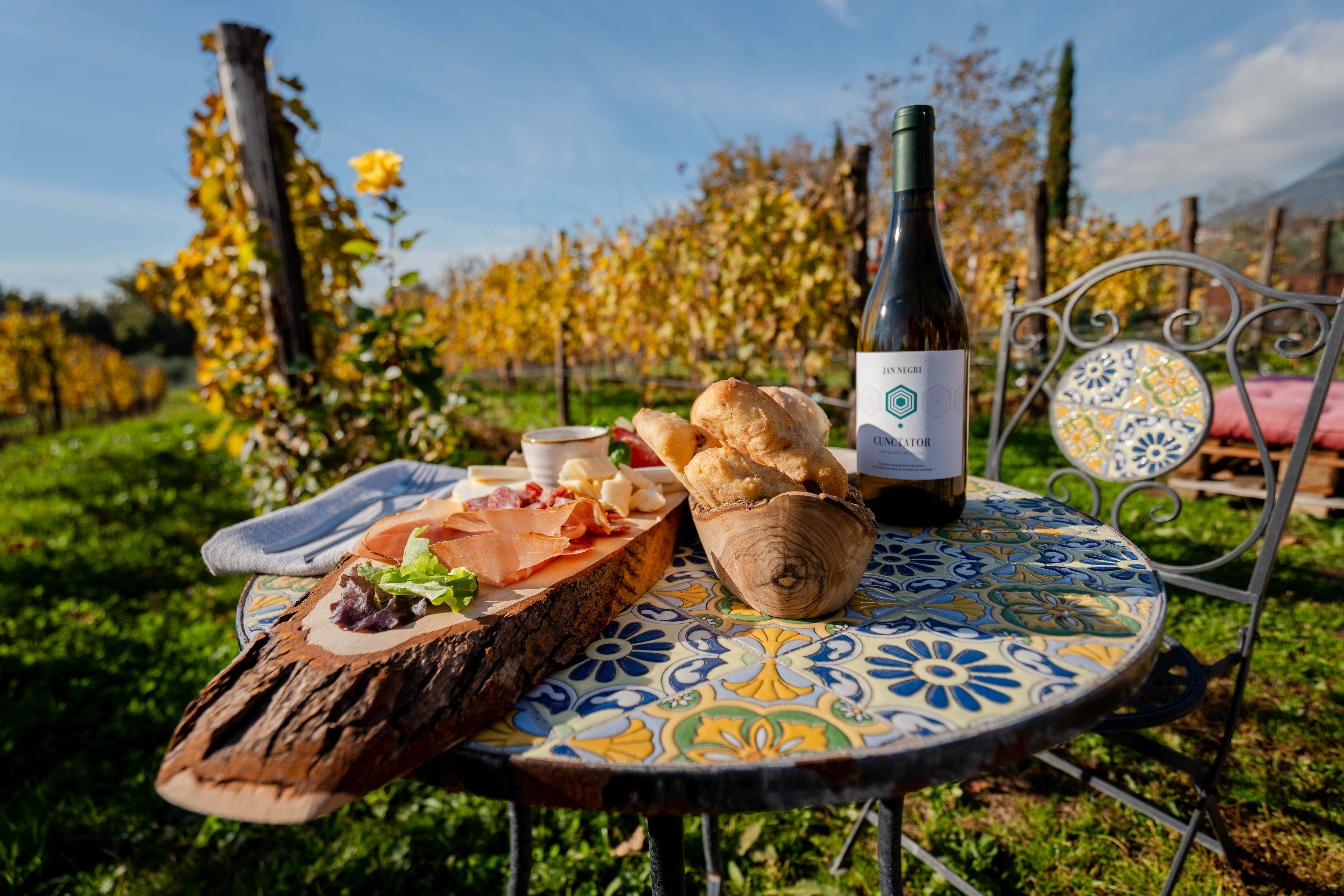Percorso benessere nell’uliveto e aperitivo in provincia di Frosinone