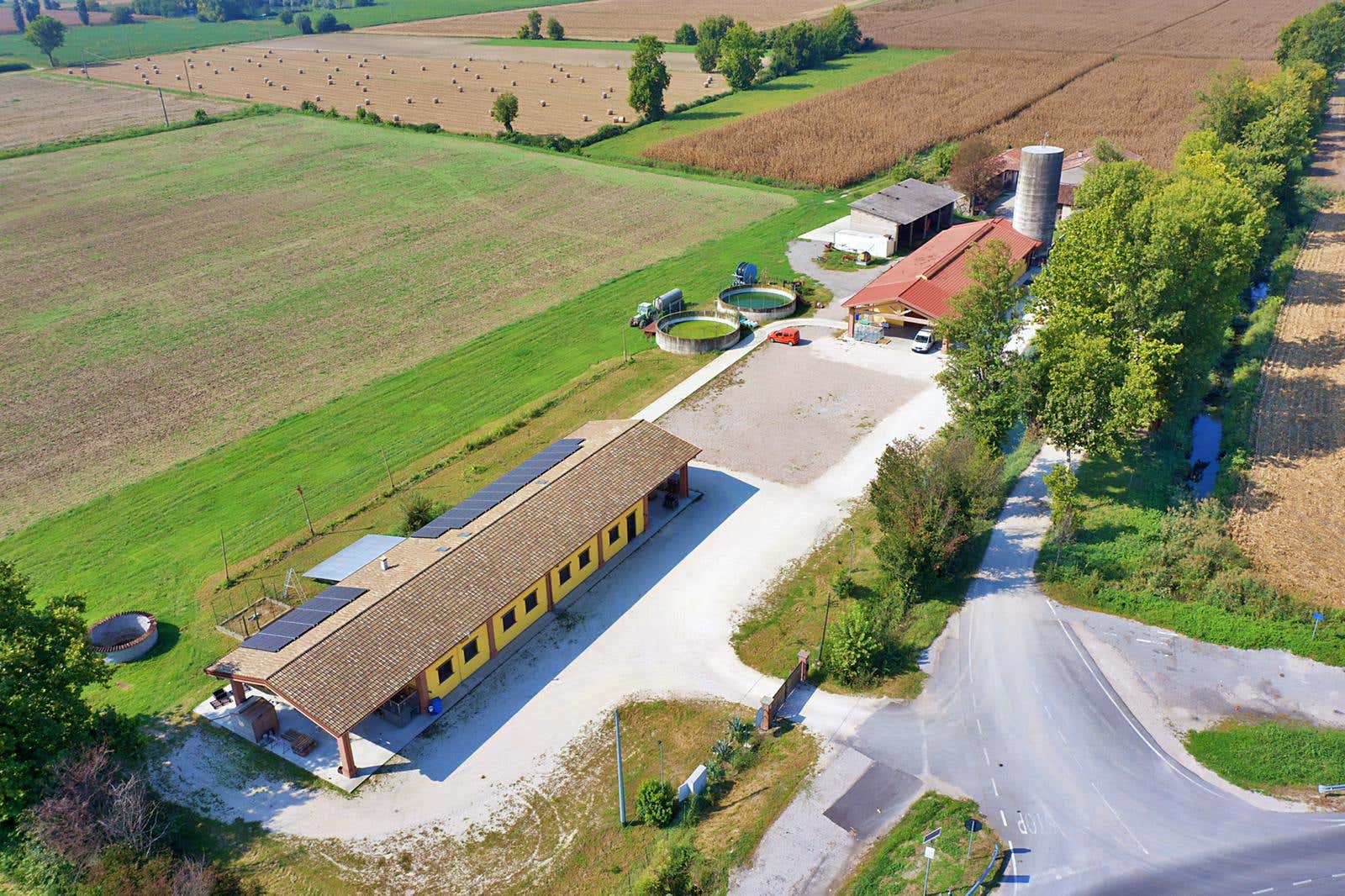 Visita in birrificio con degustazione di birre artigianali nell'Alto Mantovano
