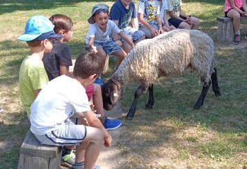 Baptism of the glove with birds of prey and farm visit in Milan (copia)