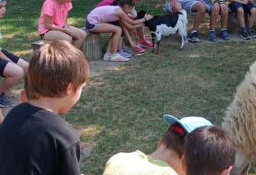 Baptism of the glove with birds of prey and farm visit in Milan (copia)