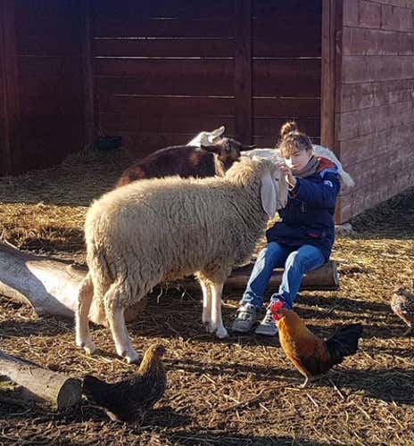 Baptism of the glove with birds of prey and farm visit in Milan (copia)