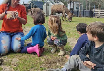 Guided tour of a cheerful animal shelter in Ostia