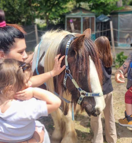 Ethical horse experience and vegetarian aperitif in Ostia