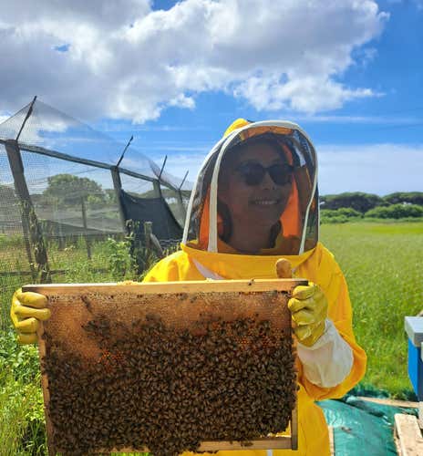 Beekeeper for a day with honey and vegetable cheese tasting in Ostia