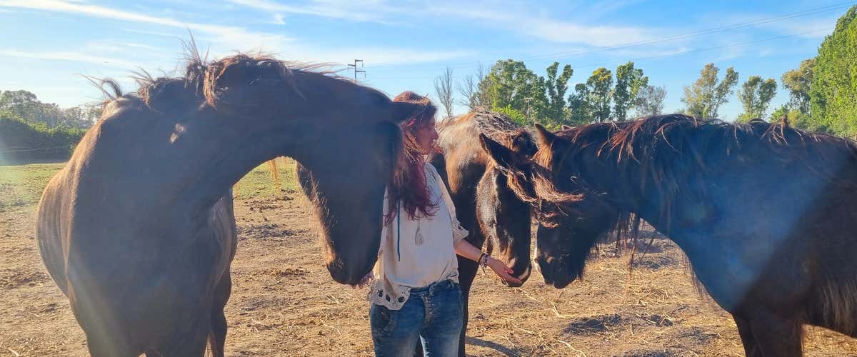 Ethical horse experience and vegetarian aperitif in Ostia