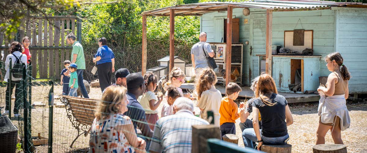 Guided tour of a cheerful animal shelter in Ostia