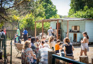 Guided tour of a cheerful animal shelter in Ostia