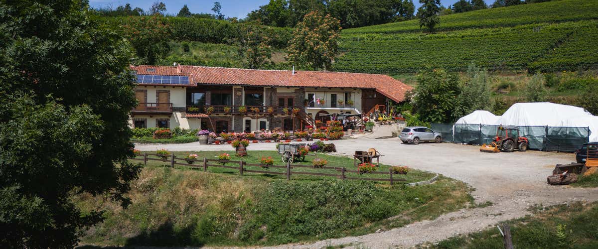 Lunch or dinner with wine tasting and winery visit in Pinerolo