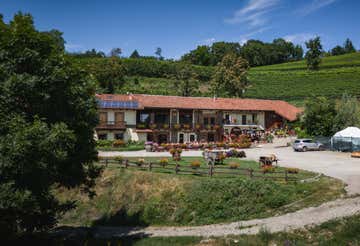 Lunch or dinner with wine tasting and winery visit in Pinerolo