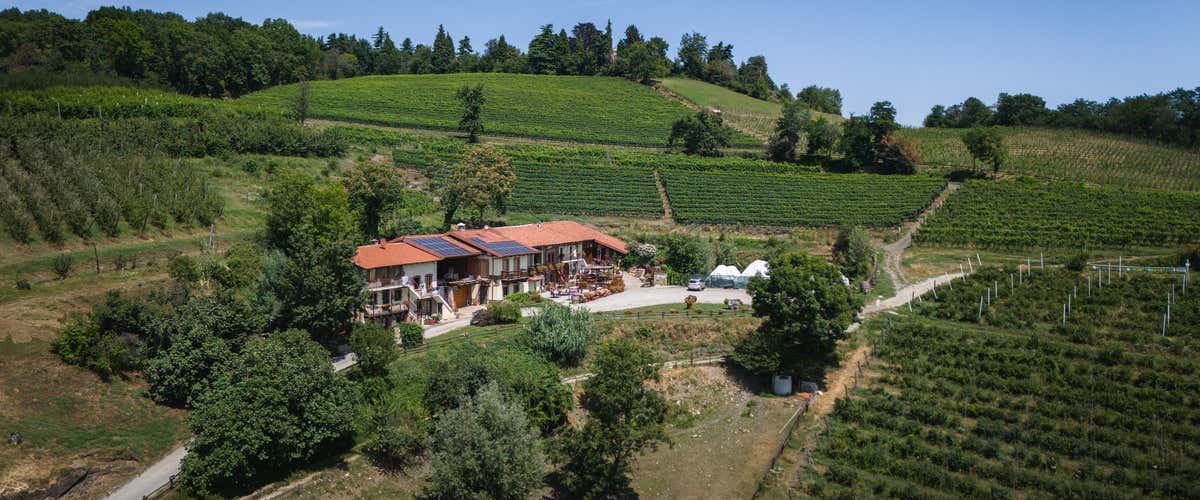 Degustazione vini con visita in cantina a Pinerolo