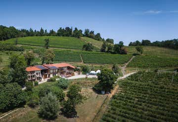 Degustazione vini con visita in cantina a Pinerolo