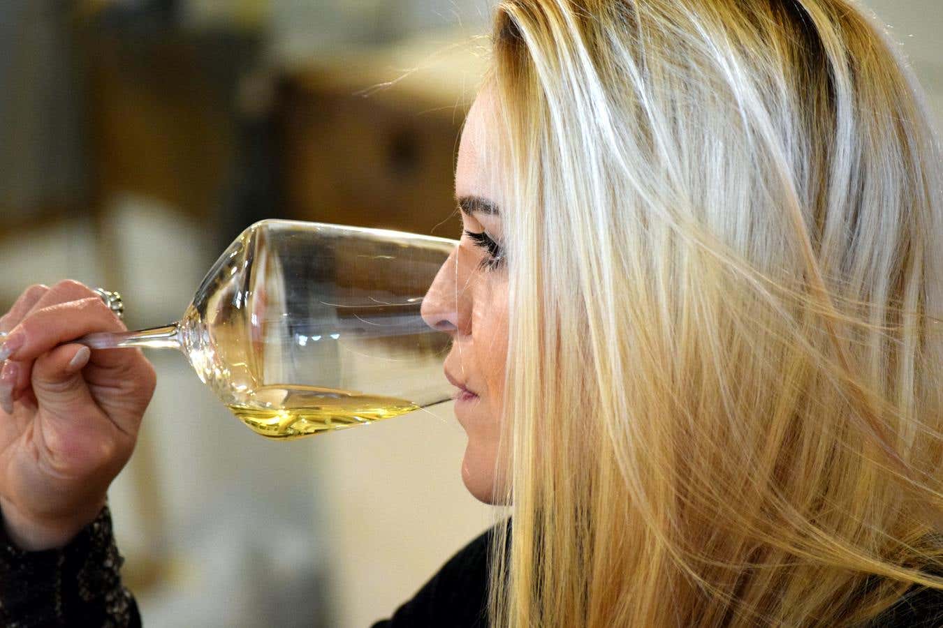 Farm tour with wine tasting and typical products in the province of Perugia