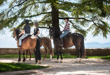 Horseback riding for couples in the medieval village of Tabiano Castello