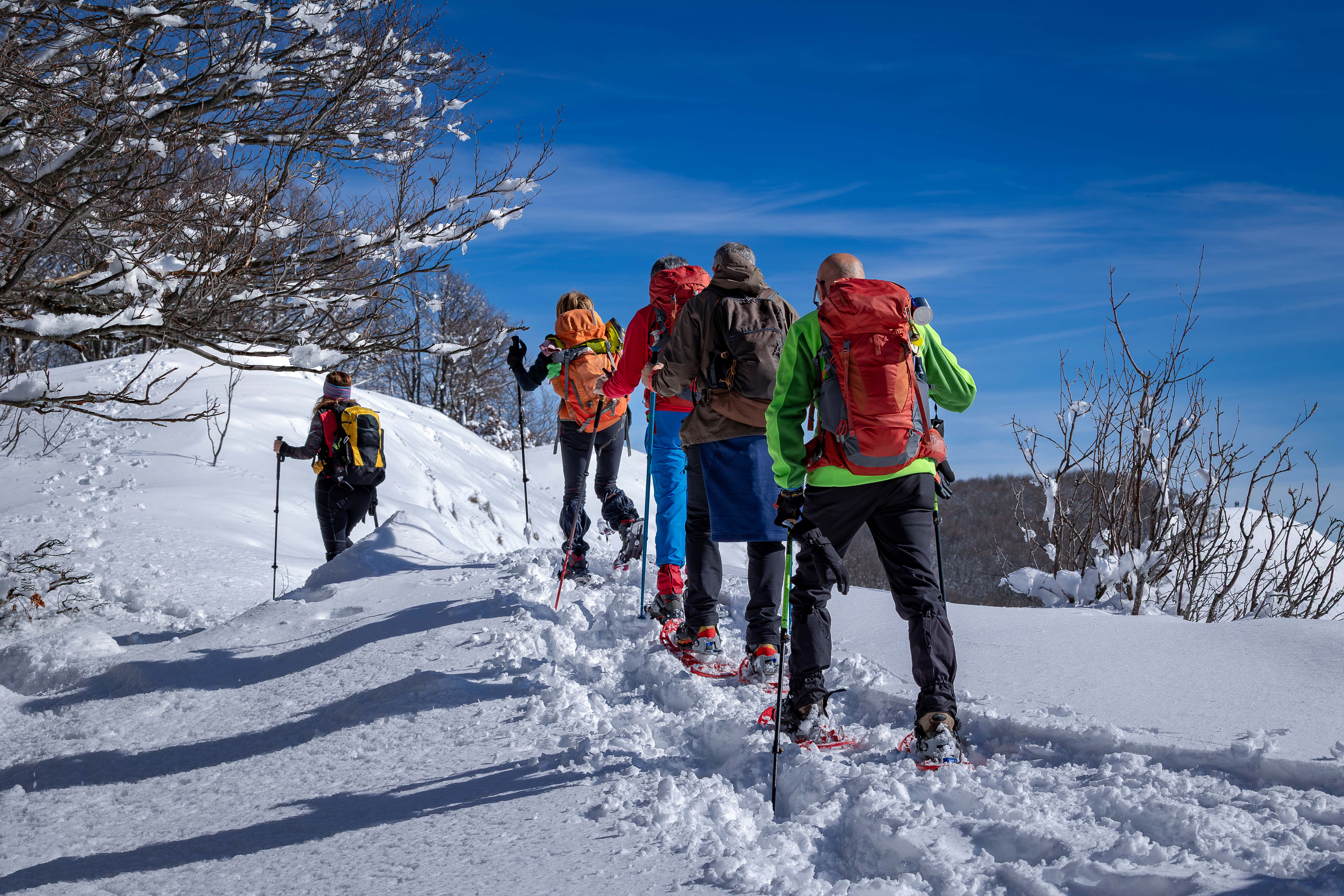 Ciaspolata nel Parco Naturale Regionale delle Alpi Liguri