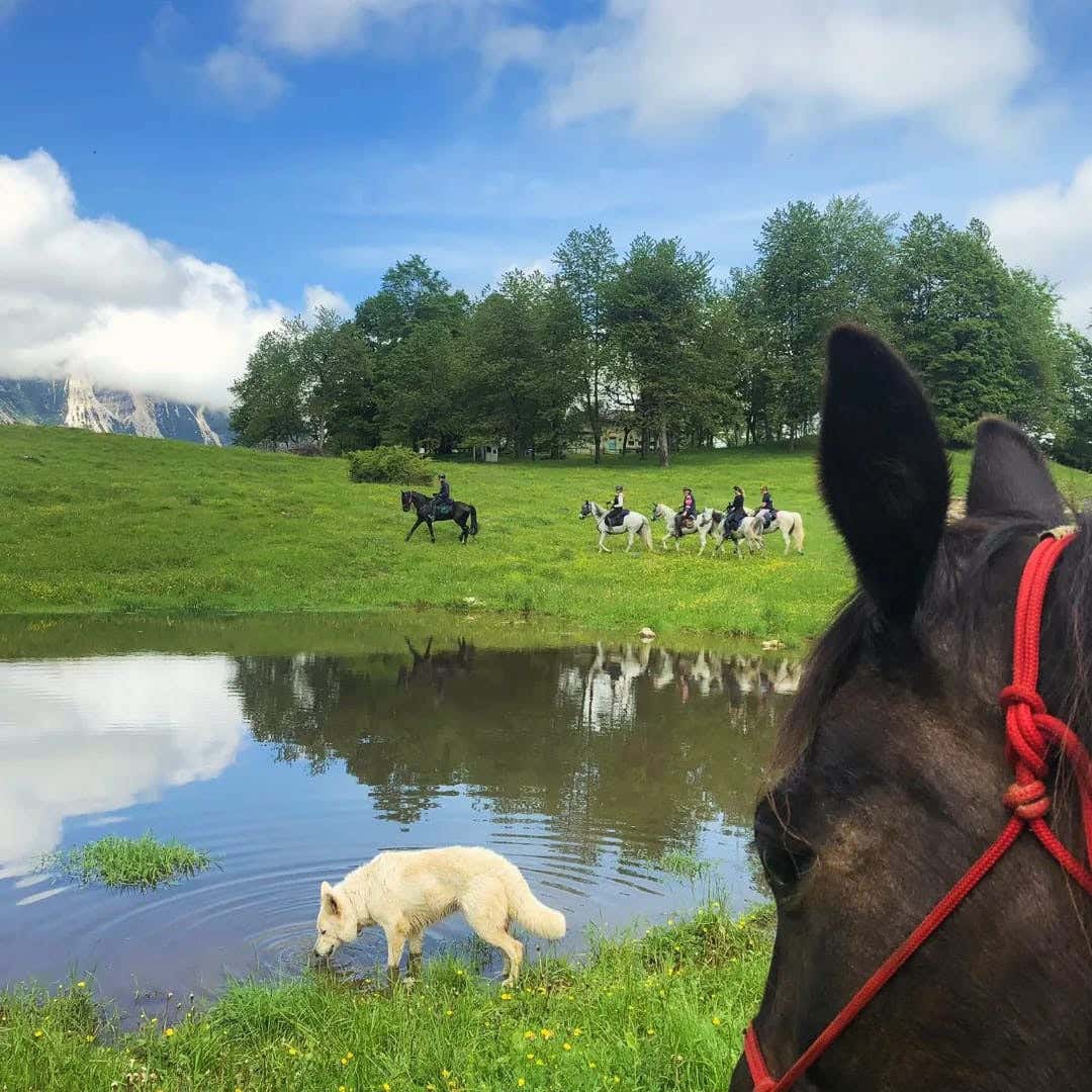Passeggiata a cavallo a Recoaro Terme tra le Piccole Dolomiti
