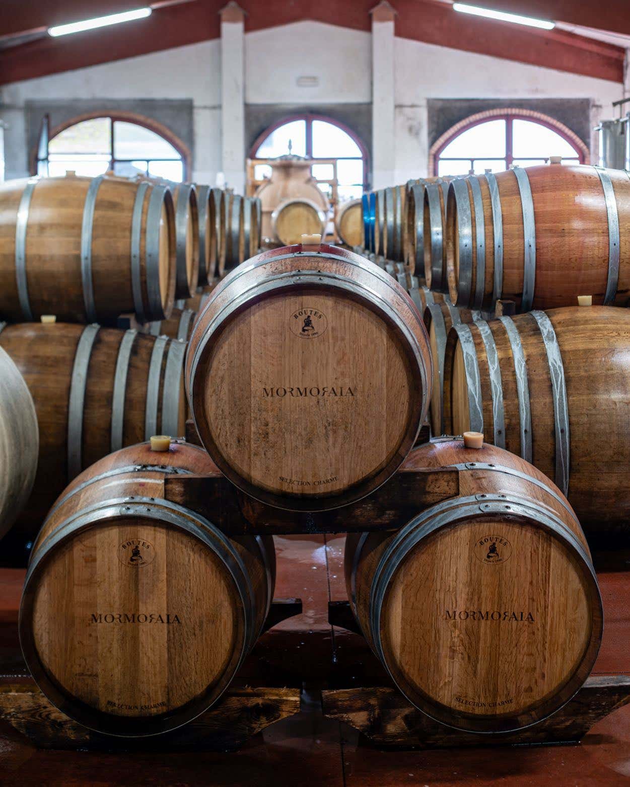 Visita in cantina e degustazione vini a San Gimignano