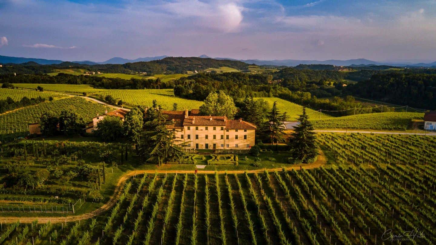 Visita guidata e degustazione vini in una villa storica a Novi Ligure