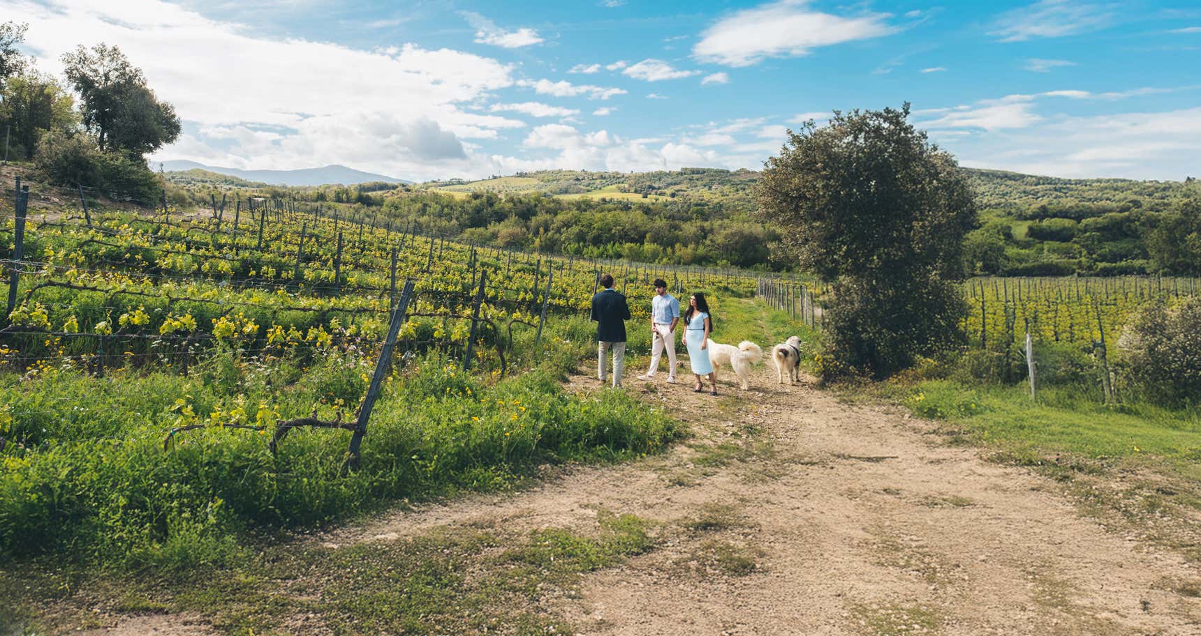 Soggiorno in agriturismo con cena e degustazione vini in Val d’Orcia