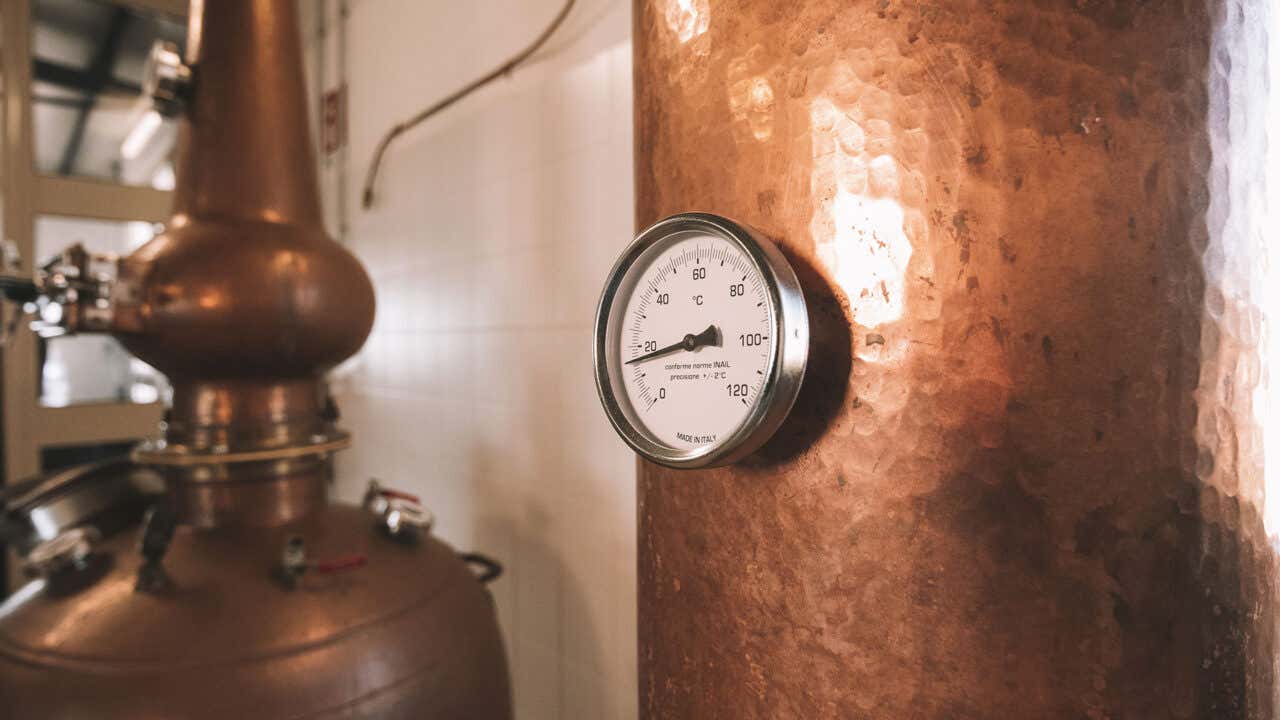 Visita in distilleria artigianale con degustazione di gin e whisky a Sassari