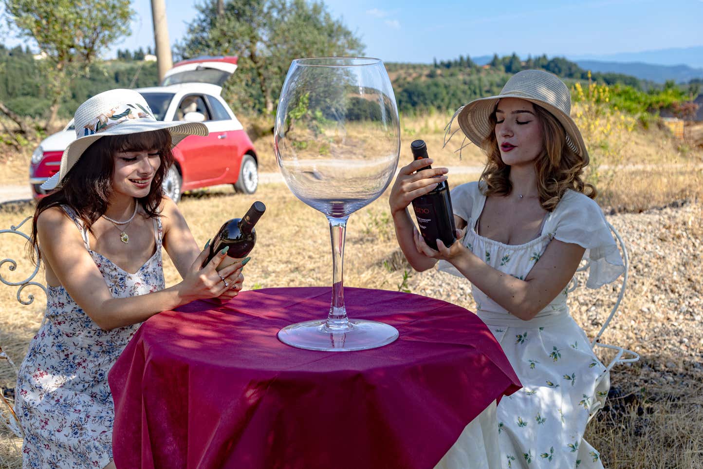 Visita in azienda agricola con degustazione di vino e formaggi vicino a Firenze